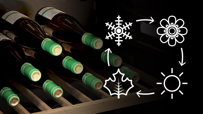 Fonction Quatre Saisons pour une température constante